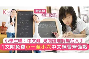 中文考試｜小學中文被港生稱「好難」掌握各級小學答題技巧