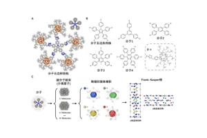 华南理工科研团队发现并命名了软物质独有的新相态