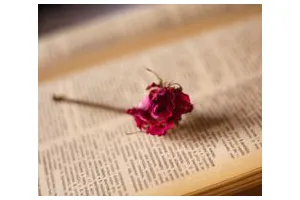 怎么了解教育的重要性