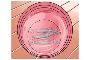 怎么使金属生锈