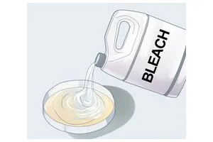 怎么在培养皿中养细菌