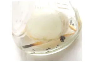 怎么把鸡蛋放进瓶子里