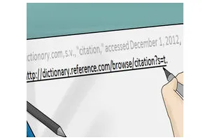 怎么引用一本词典