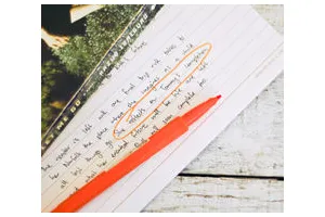 怎么写书籍摘要