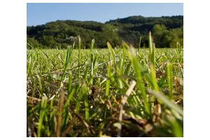 怎么让鸡蛋完好无损地坠落