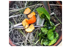 怎么减少水污染