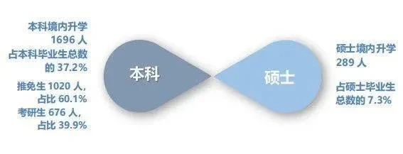 211高校毕业生就业优势大盘点，你的金钥匙在这里！