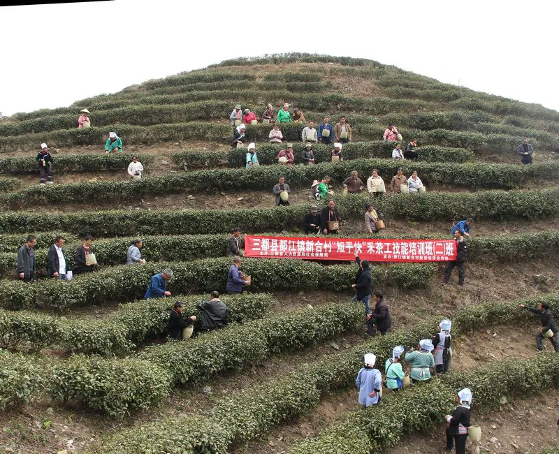 黔南三都技能培训。