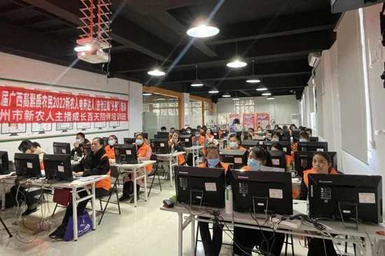 横州市新农人主播成长百天陪跑项目。