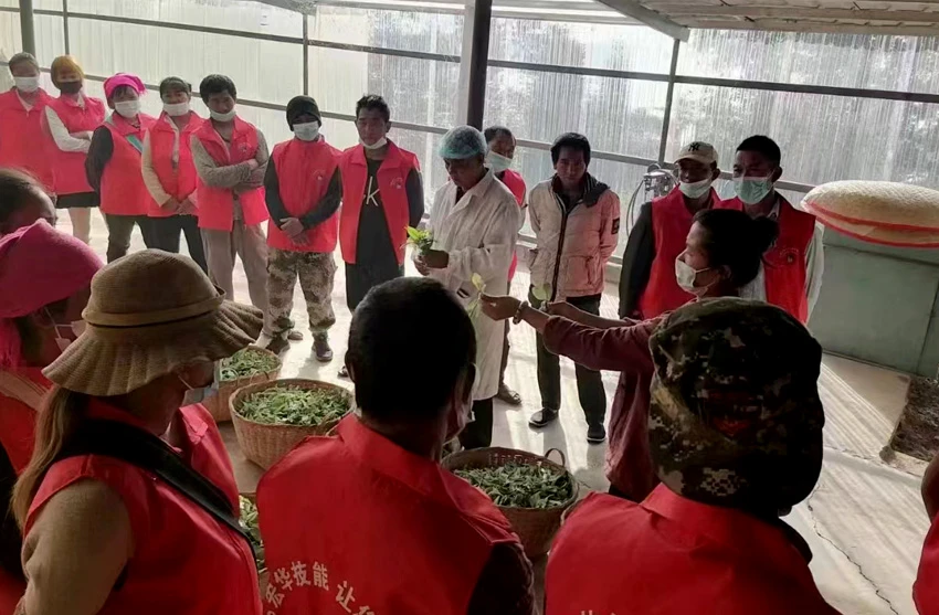 云县劳务技能培训现场。云县融媒体中心供图