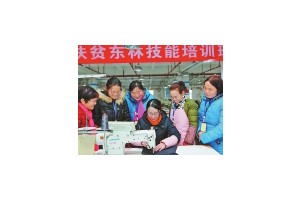 陕西省韩城市强化技能培训提供规范服务